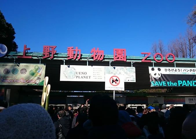 上野動物園　割引